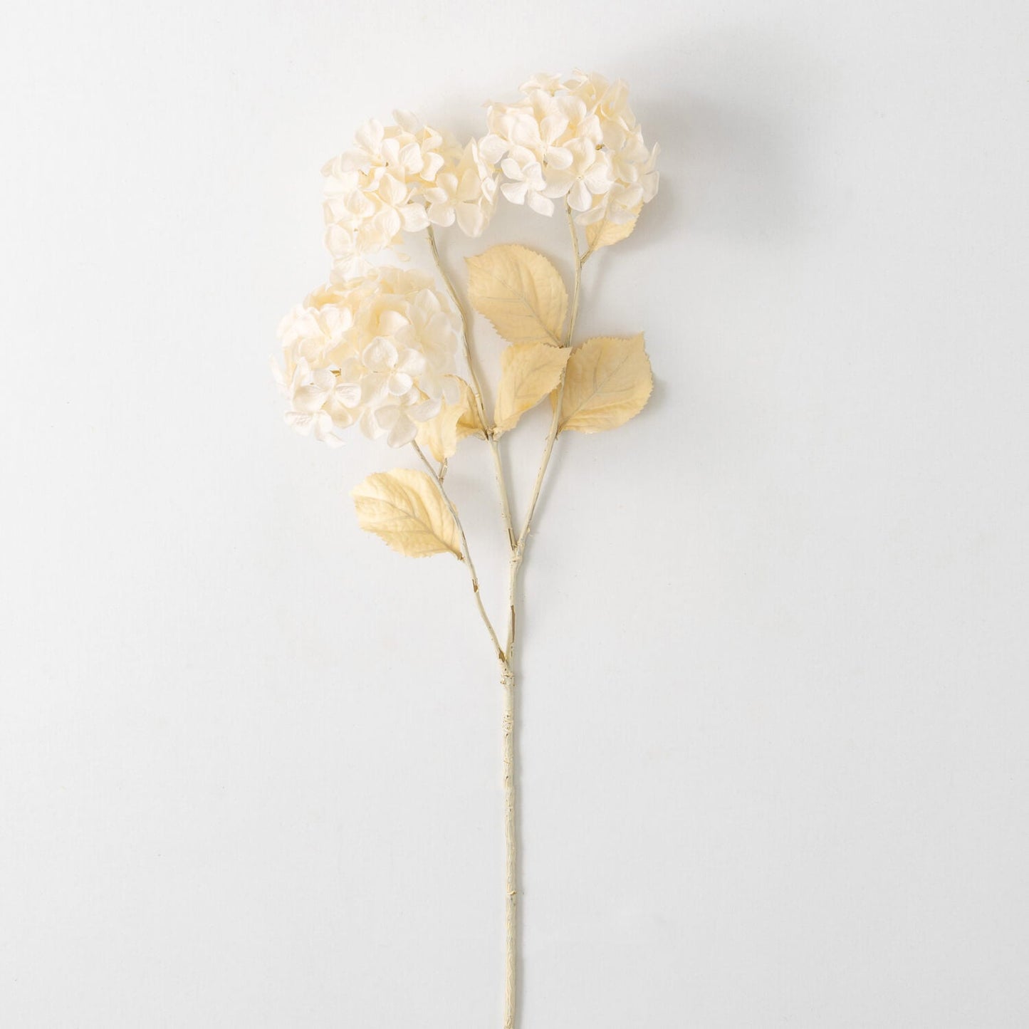 Hydrangea Stem, Cream