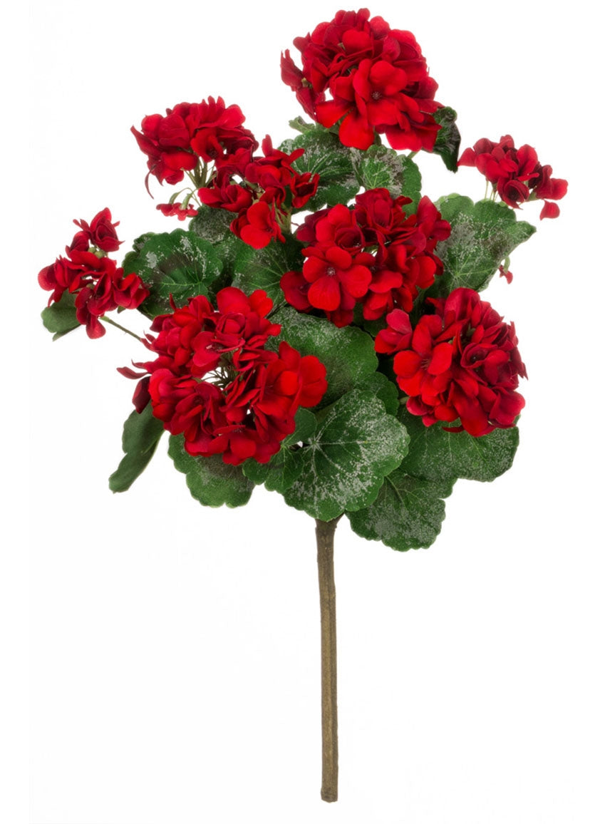 Geranium Bush, Red 18"